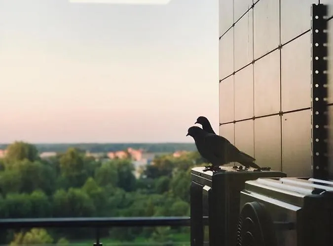 Апартаменты Snieguoles Apartamentai